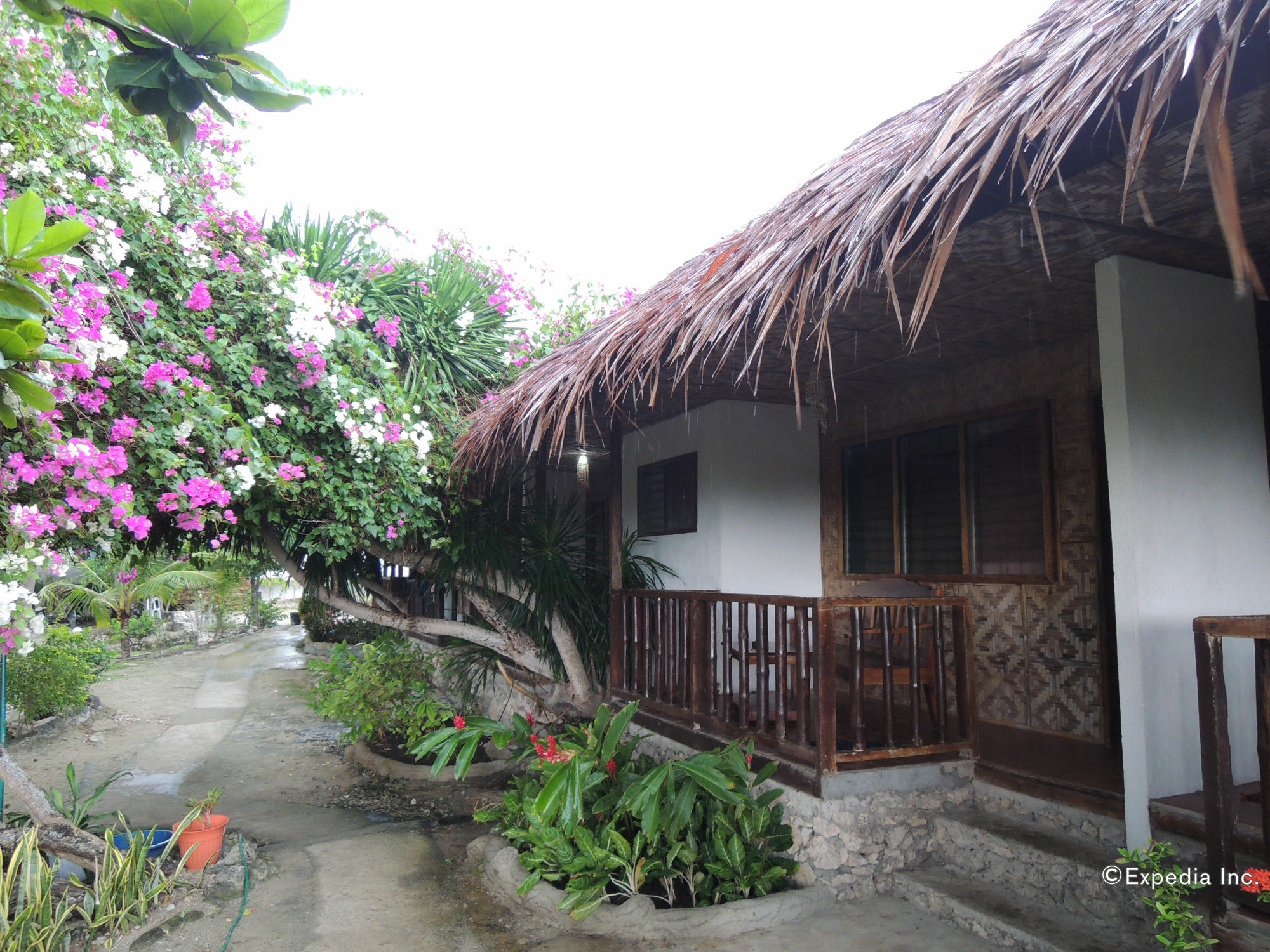 Asian Belgian Dive Resort Moalboal Exterior photo